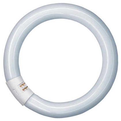 RECAMBIO LUPA T5 22W